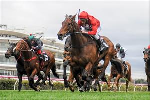 Filly chasing home-track hat-trick